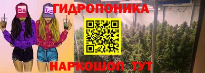 спиды Заволжье