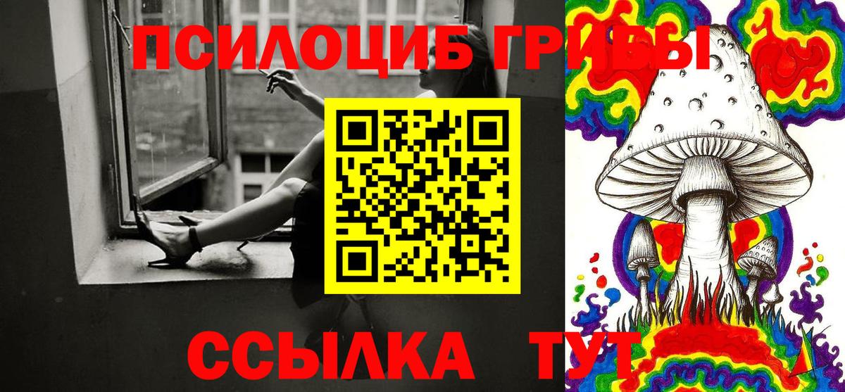 Галлюциногенные грибы Cubensis Магадан