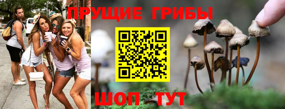 Магадан  Псилоцибиновые грибы мухоморы  Вход с VPN 